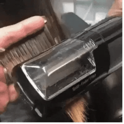 Haarspliss Entferner